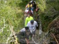 /album/a1-%c2%ba-trail-trilhos-de-s-bartolomeu/a1-%c2%ba-trail-s-bartolomeu-6-2012-jpg/